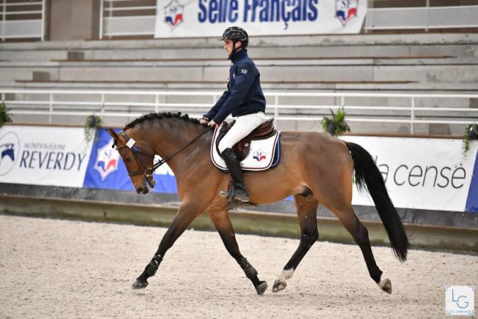 paard-2020-12-174E28867