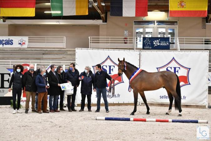 paard-2020-12-174E20059