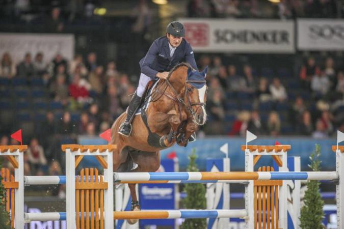 paard-CASALLO-Z-c-Dirk-Caremans