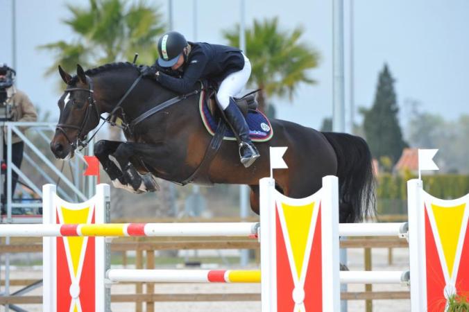 paard-zapatero2