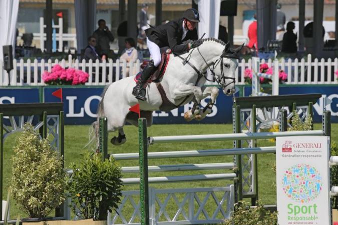 paard-zirocco4