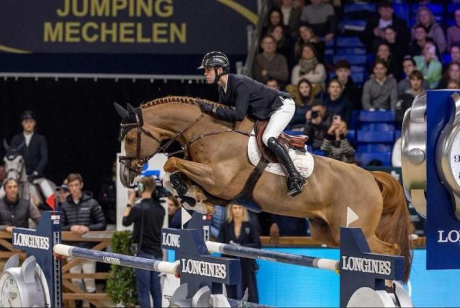 paard-EK2
