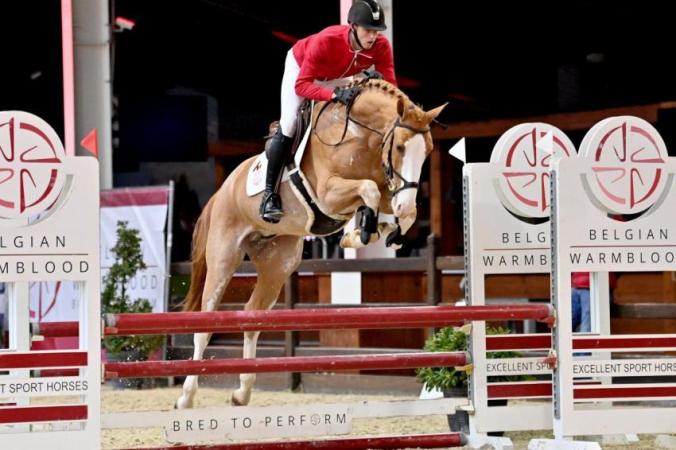 paard-krismar-stables-casper-du-cache-pot-2021-2-21-42-28