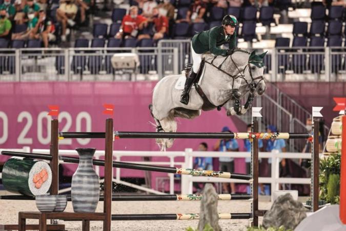 paard-Highlights-Cartello-VDL
