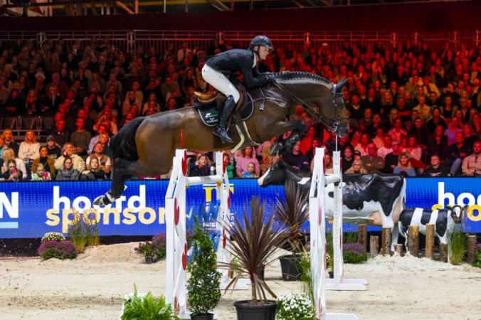 paard-Hessel-Hoekstra-Comthago-VDL-LEEU24L35148