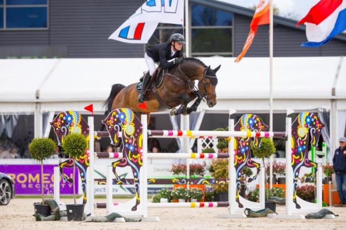 paard-WhatsApp-Image-2024-04-28-at-180822