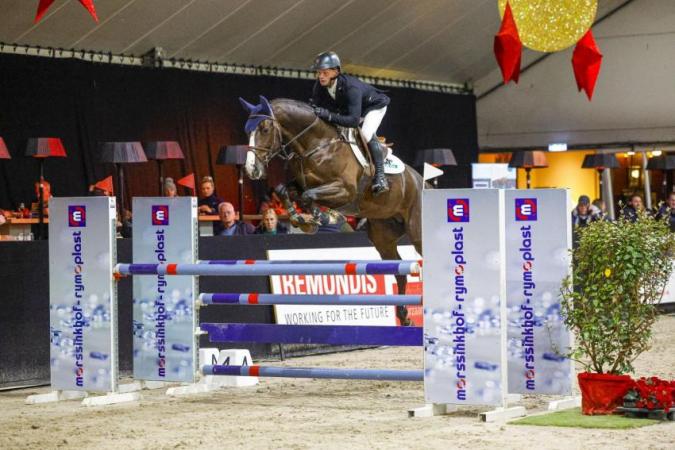 paard-New-Pleasure-H-Hoekstra-Hengstencompetitie-Lichtenvoorde-klein