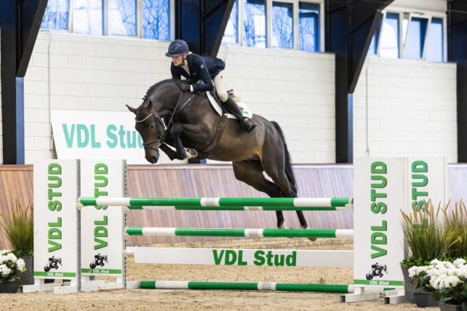 paard-Unedo-VDL24L109306CR3-kopie