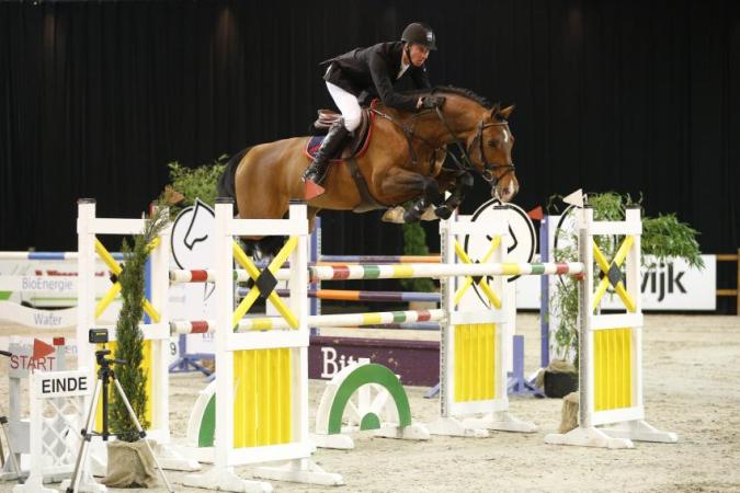 paard-zavall4