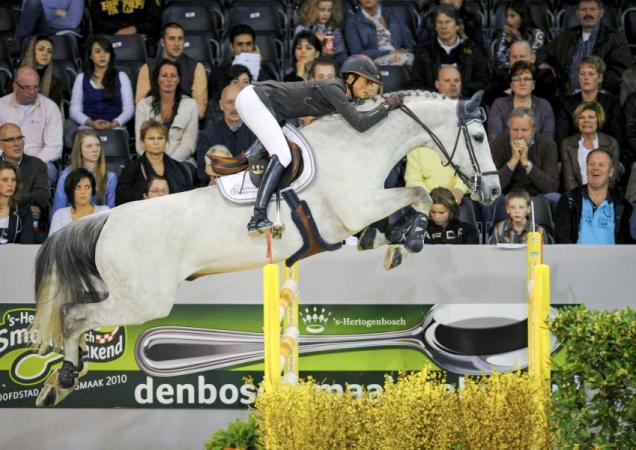 paard-MYLORDc-Peter-VAN-DEN-BULCK
