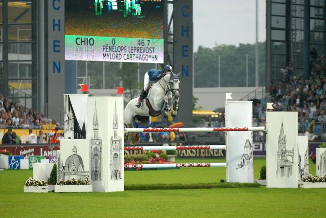 paard-DSC0547
