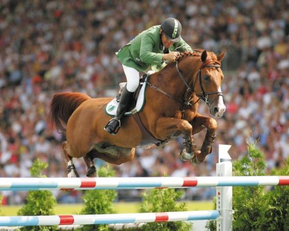 paard-tinka1