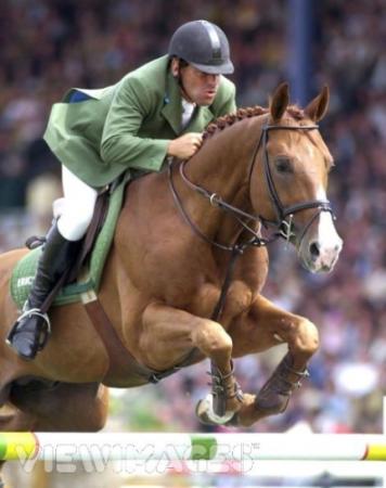 paard-tinka
