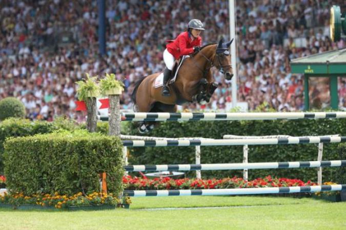 paard-OhlalabyOrlando