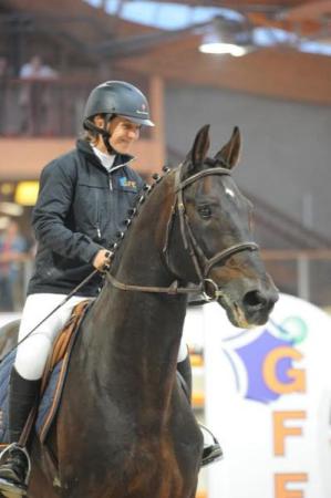 paard-kannan1