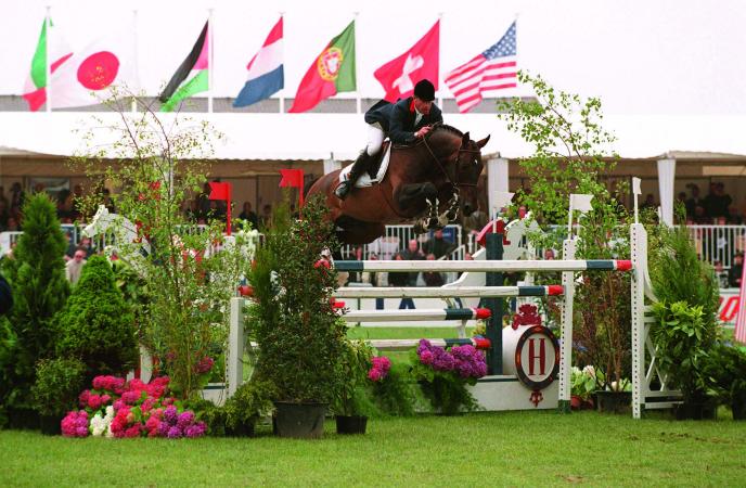 paard-Kannan-cso1586
