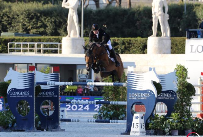 paard-Carrera-VDL-20162