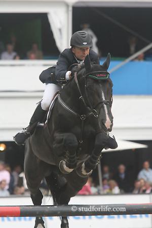 paard-ephebe2