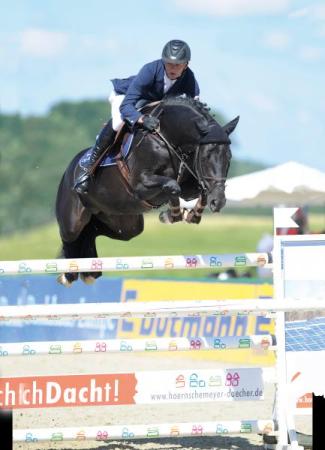 paard-Diarado2016