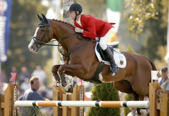 paard-070125912ABFweb-842x582