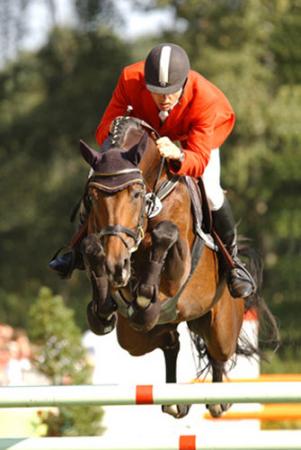 paard-landors
