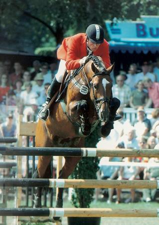 paard-lordanos03