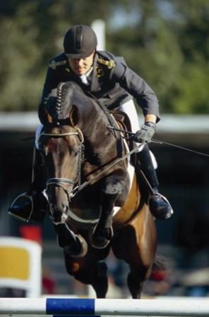 paard-stolzenberg2
