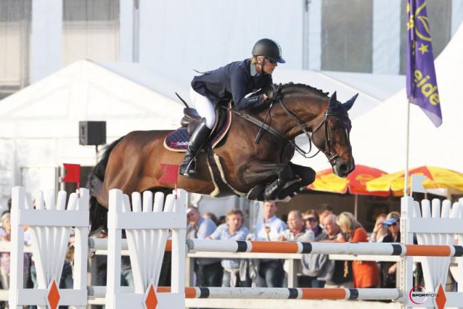 paard-Harley-12-1-2
