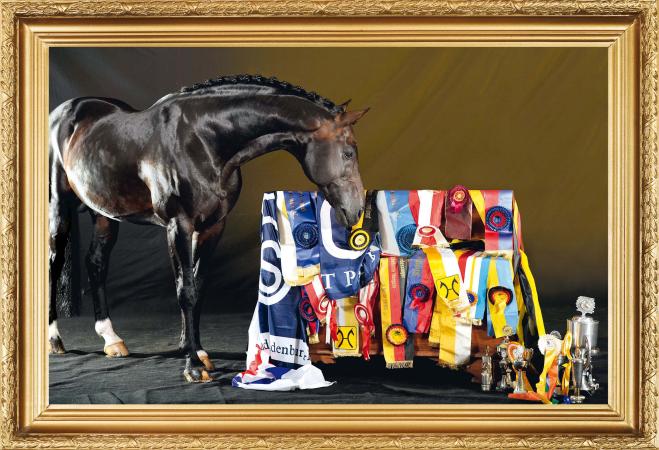 paard-Contendro-Kalenderbild