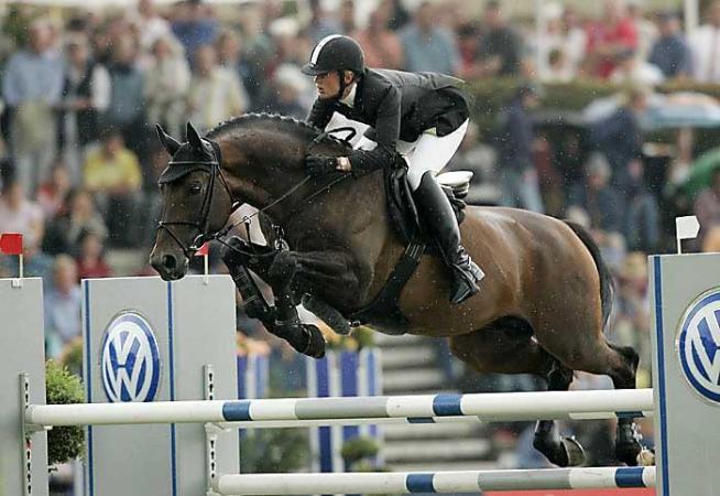 paard-stakkato-video