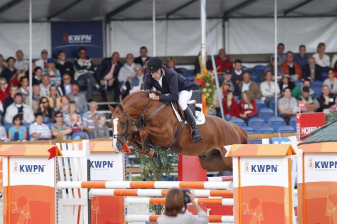 paard-arezzo