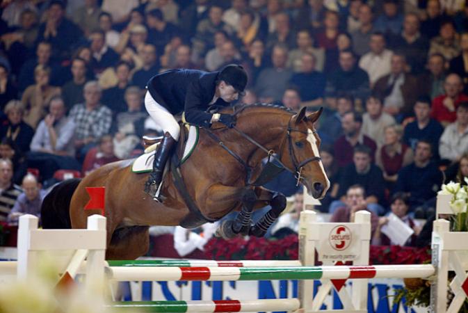paard-quasimodovdmolendreef