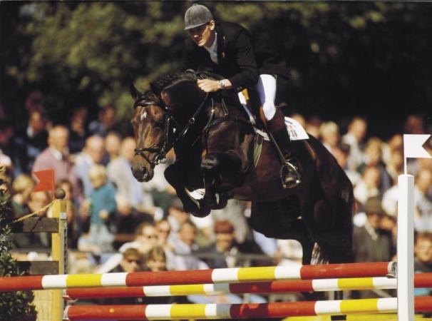 paard-Indoctro-155931