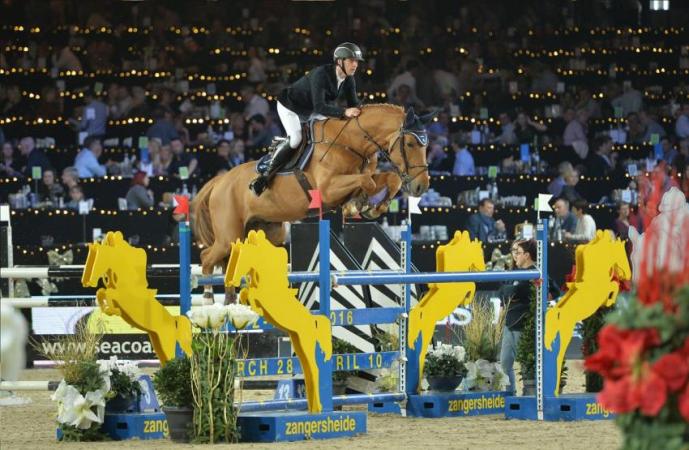 paard-inshallah-de-muze-2015-mechelen-klein