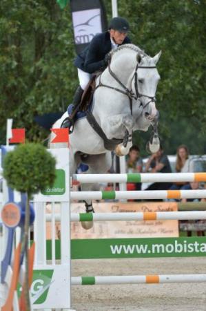 paard-castelino-van-de-helle-spring-19-59-33