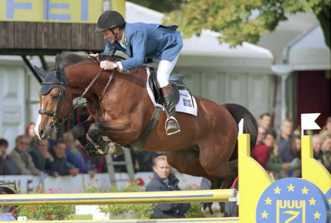 paard-canabisz