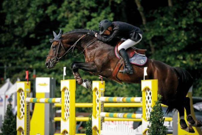 paard-Toulon-Spring-02