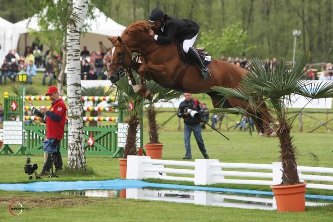 paard-vigo1
