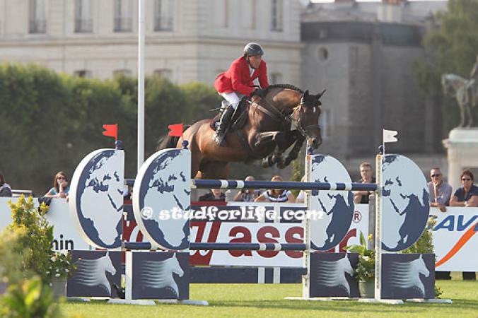 paard-royal-feu