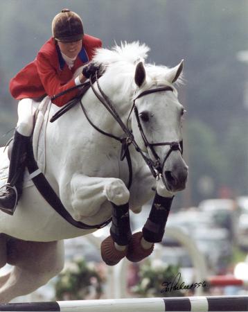 paard-Gem-Jumping