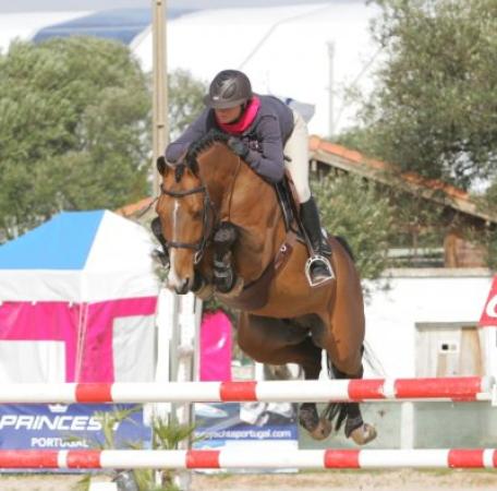 paard-chaccorouge