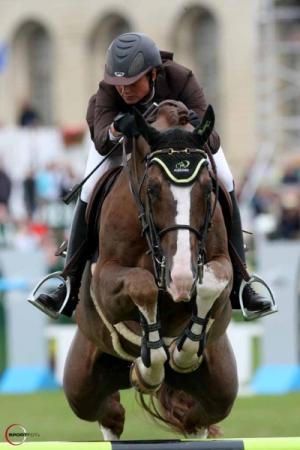 paard-photo-topinambour