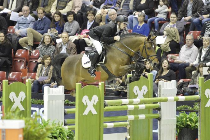 paard-csmcomme-il-fauttitelce5617617c
