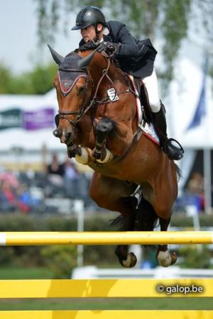 paard-boyfriend-lummen-11-07-22