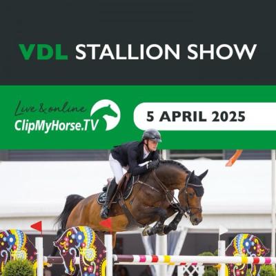 VDL-stallion-show-20252